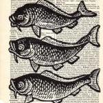 Dictionary Book Page Art pr..