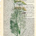 Dictionary Book Page Art pr..