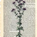 Dictionary Book Page Art pr..