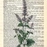 Dictionary Book Page Art pr..