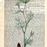 Dictionary Book Page Art pr..