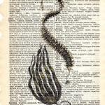 Dictionary Book Page Art pr..