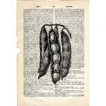 Dictionary Book Page Art pr..