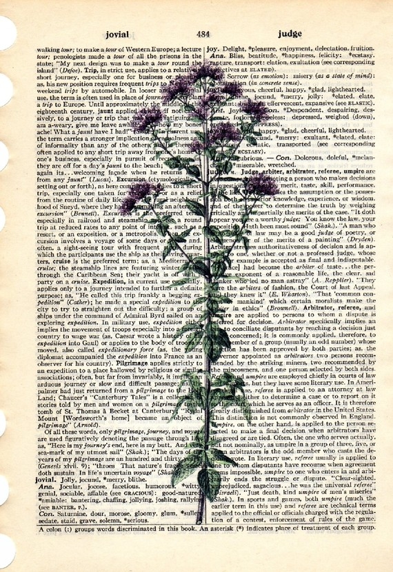 Dictionary Book Page Art print Marjoram herb