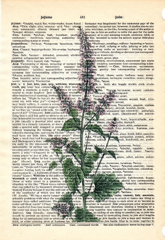Dictionary Book Page Art print Catnip herb