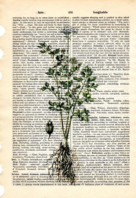 Dictionary Book Page Art print Celery herb